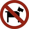 Pets not allowed